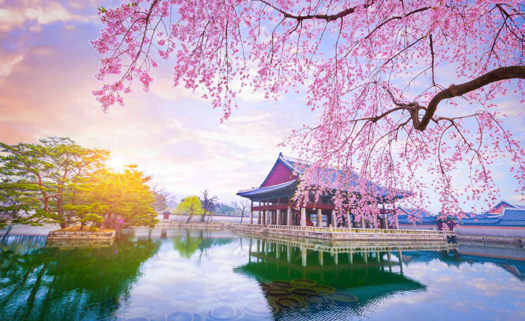 Discover These 8 Hidden Gems You Must Visit While On A Trip To South Korea